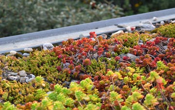 the cost of Larks Hill green roof installation