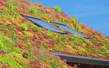 Larks Hill living roof systems